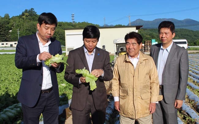 Vì sao Nhật Bản thành công trong việc nâng tầm giá trị nông sản? (05/01/2021)
